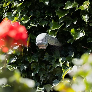 https://le-rais.hotels-rhonealpes.com